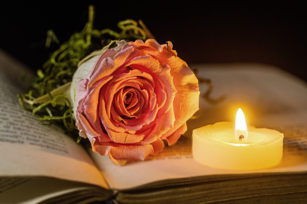 rose, candle, a book-4871606.jpg